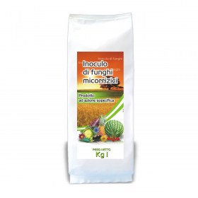 Inoculo-di-funghi-micorrizi